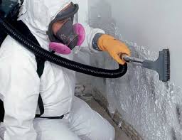 Best Attic Mold Removal  in Castle Shannon, PA